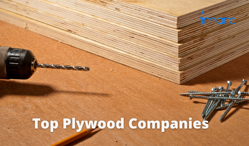 Top Plywood Companies